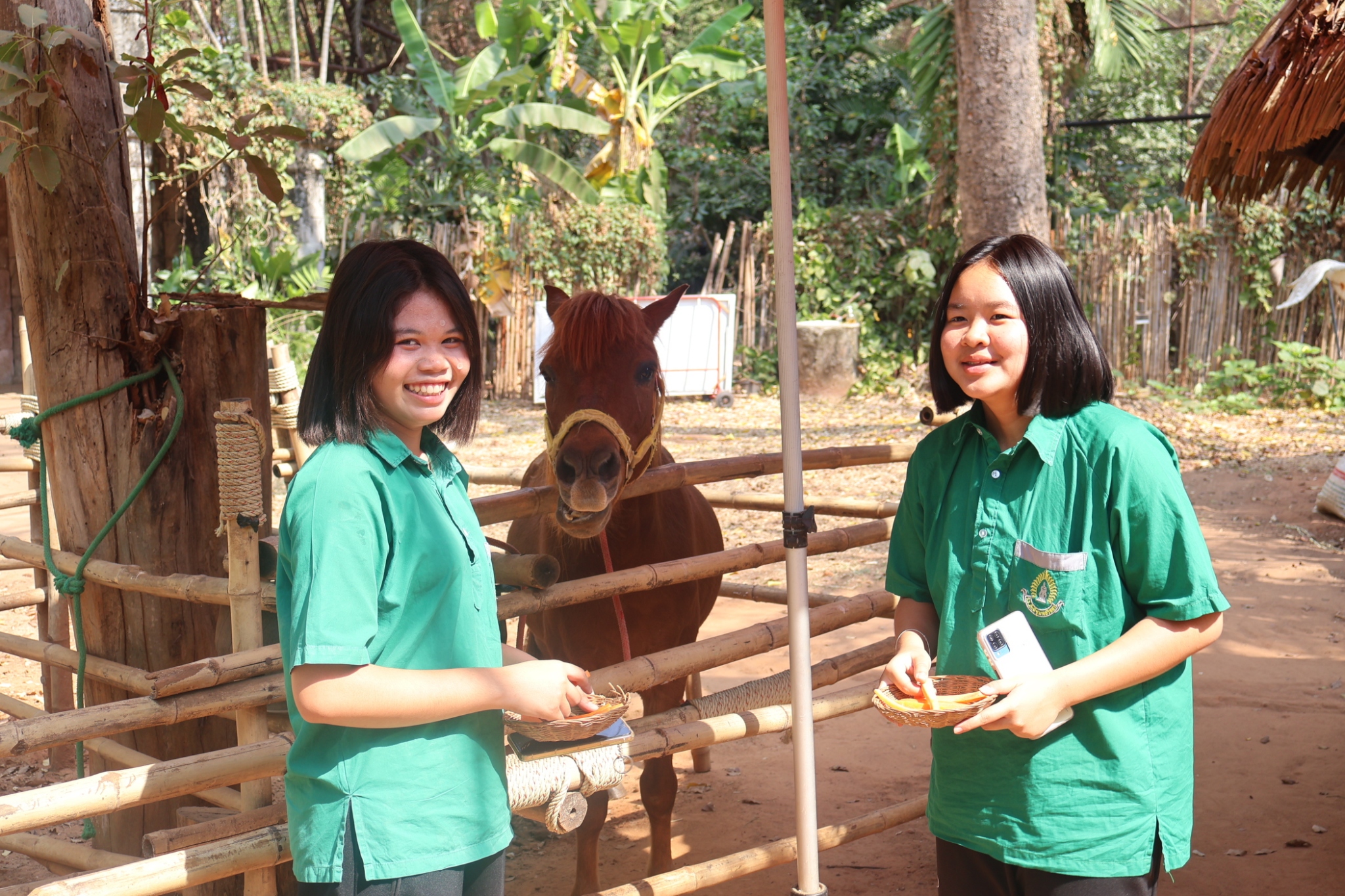 วันที่ 17-18 กุมภาพันธ์ 2569 โรงเรียนภักดีชุมพลวิทยา จัดกิจกรรมทัศนศึกษาแหล่งเรียนรู้  ระดับม.ต้นและม.ปลาย ณ สวนสัตว์นครรราชสีมา  จังหวัดนครราชสีมา